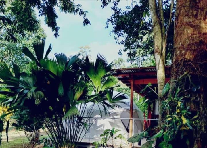 Glamping Naioth Apartment Guápiles Exterior photo