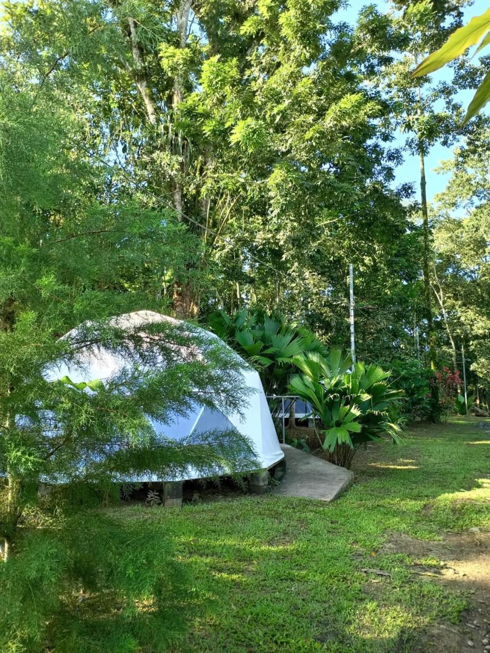 Glamping Naioth Apartment Guápiles Exterior photo