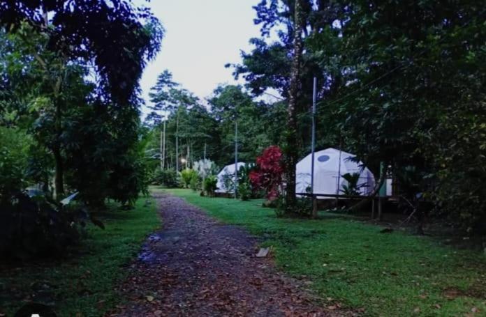 Glamping Naioth Apartment Guápiles Exterior photo