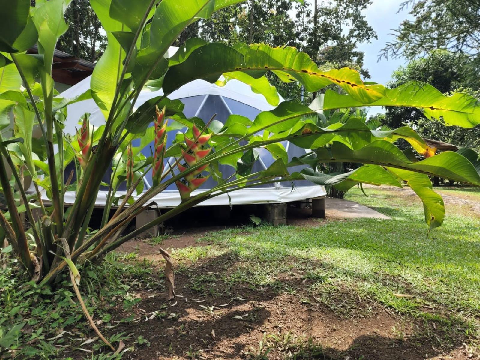 Glamping Naioth Apartment Guápiles Exterior photo