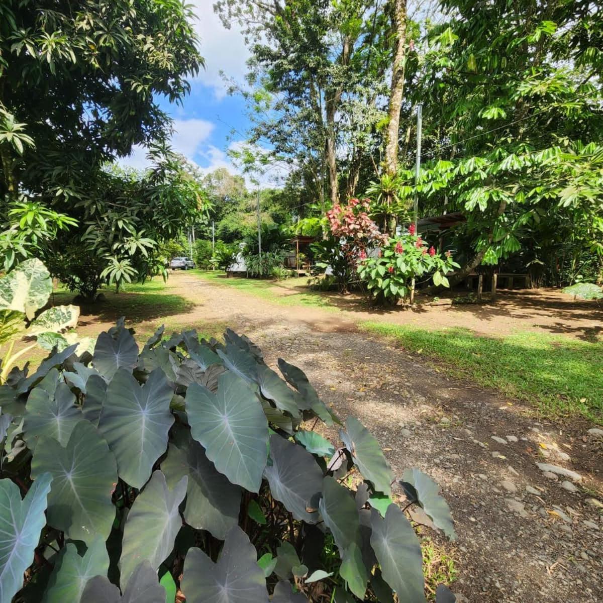 Glamping Naioth Apartment Guápiles Exterior photo