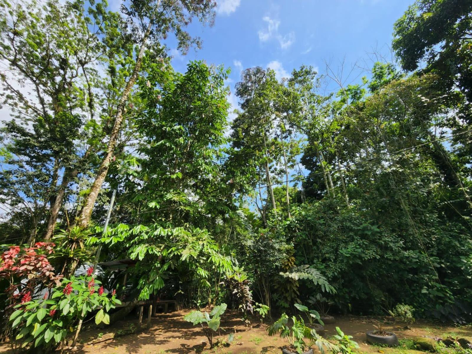 Glamping Naioth Apartment Guápiles Exterior photo