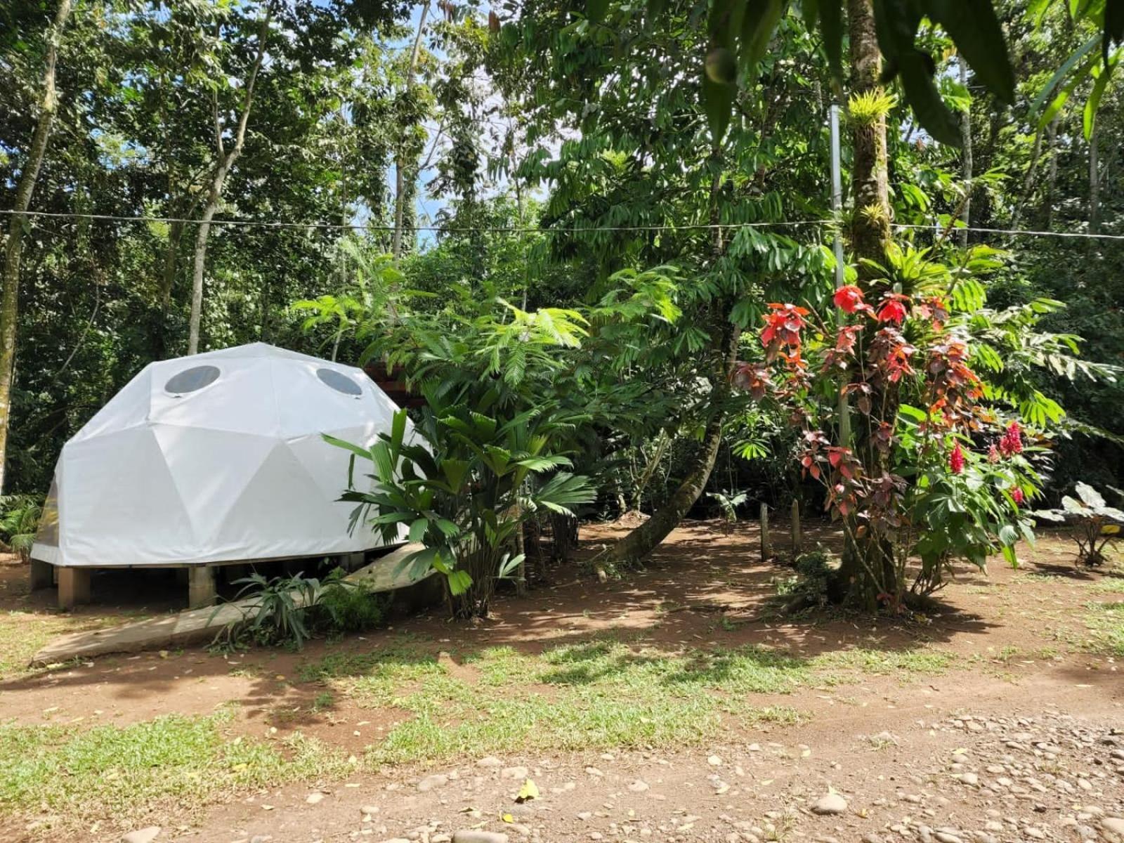 Glamping Naioth Apartment Guápiles Exterior photo