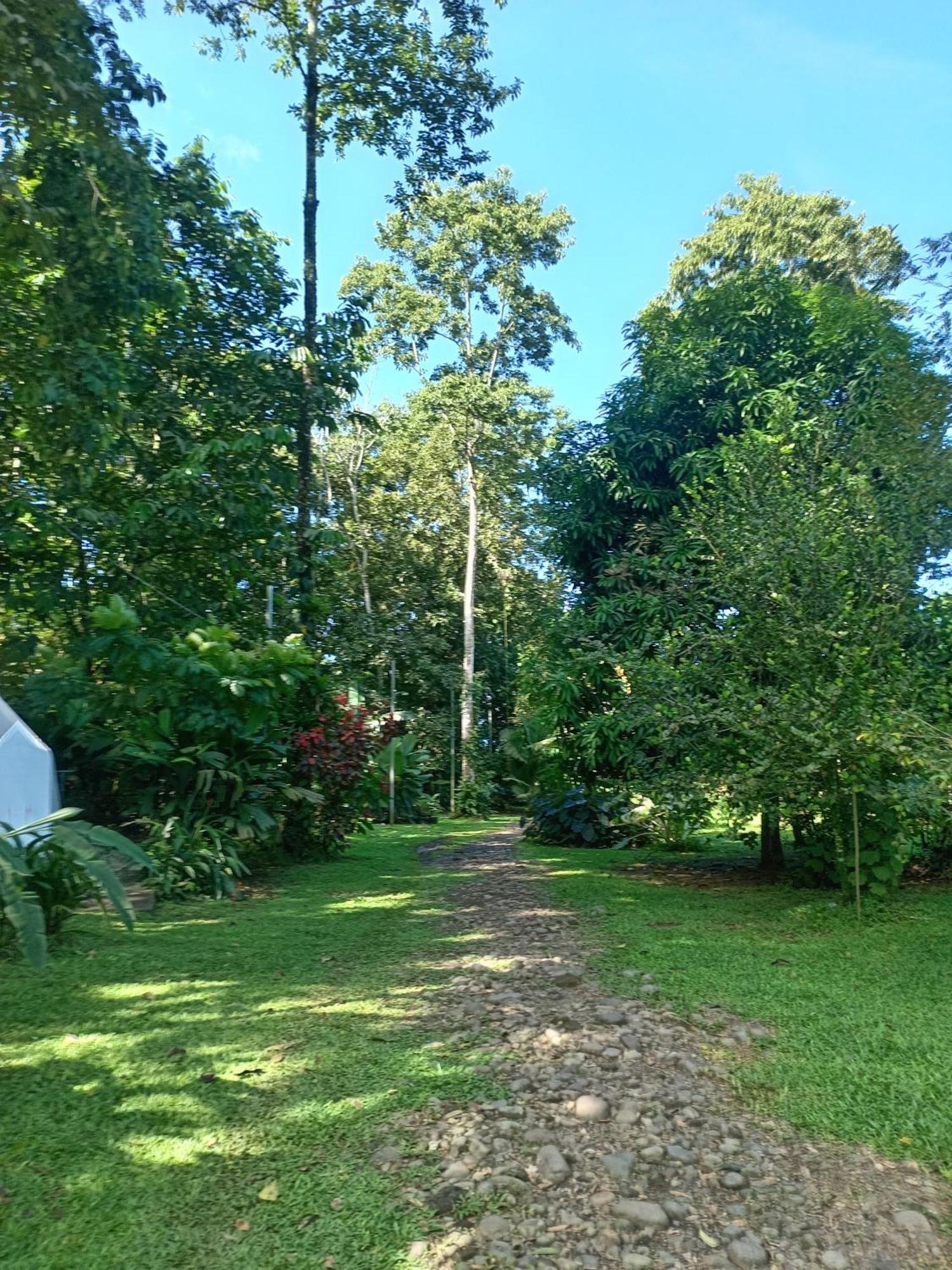 Glamping Naioth Apartment Guápiles Room photo