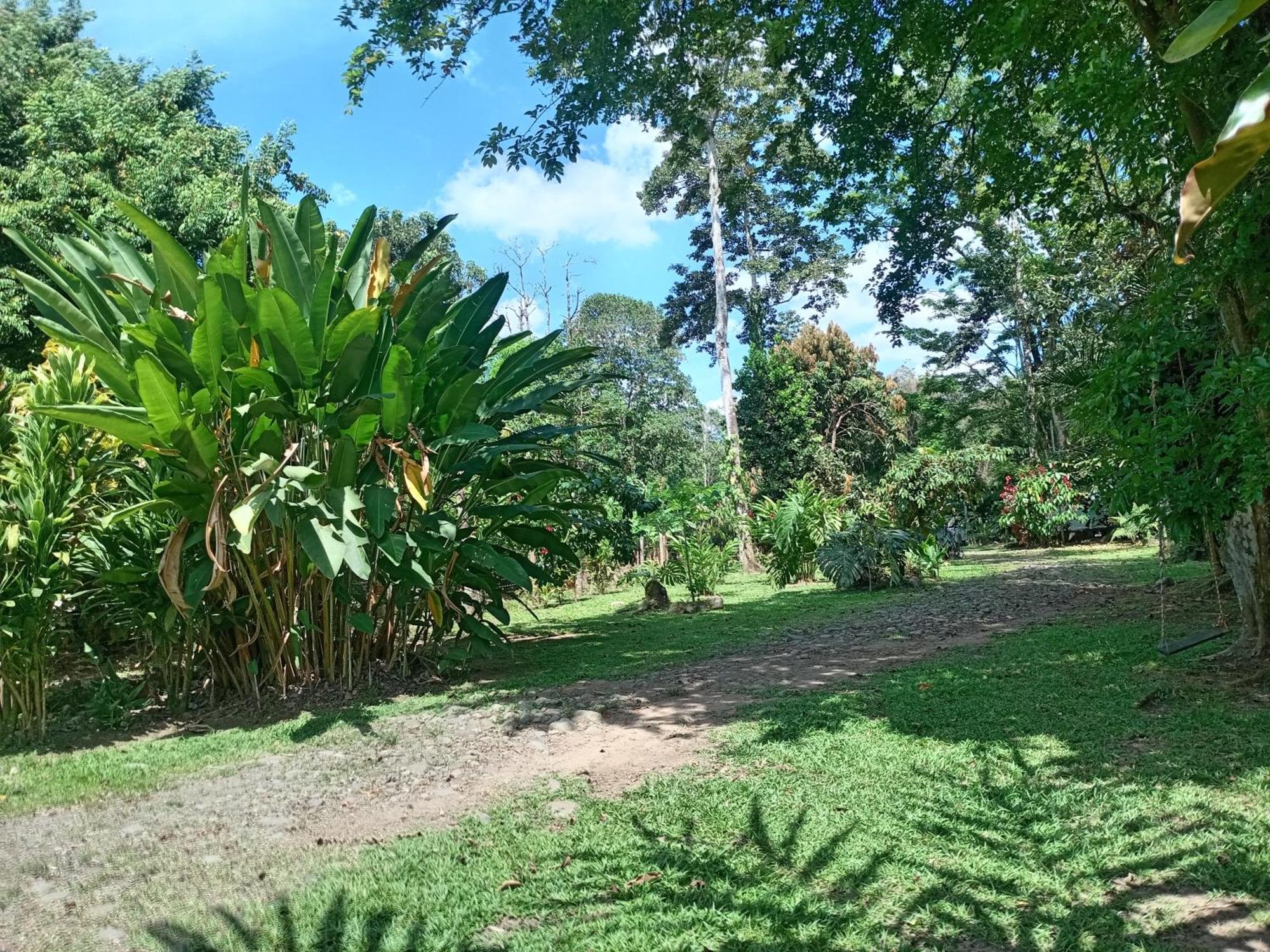 Glamping Naioth Apartment Guápiles Exterior photo