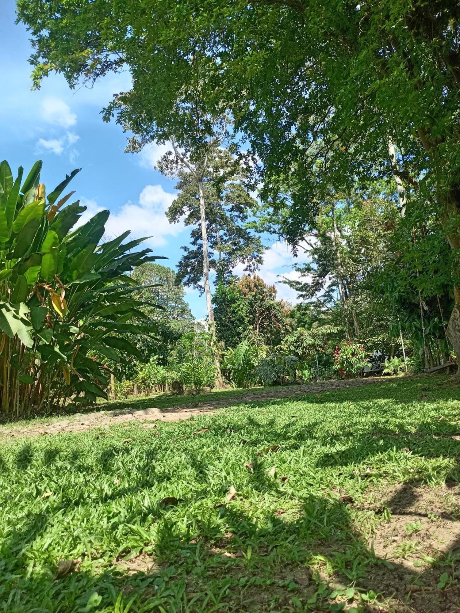 Glamping Naioth Apartment Guápiles Room photo