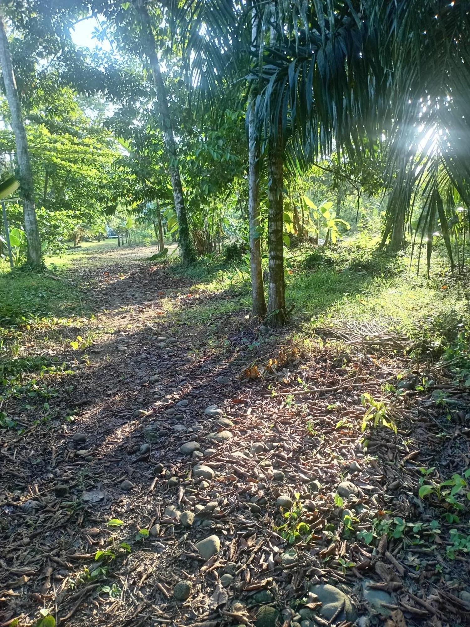 Glamping Naioth Apartment Guápiles Exterior photo